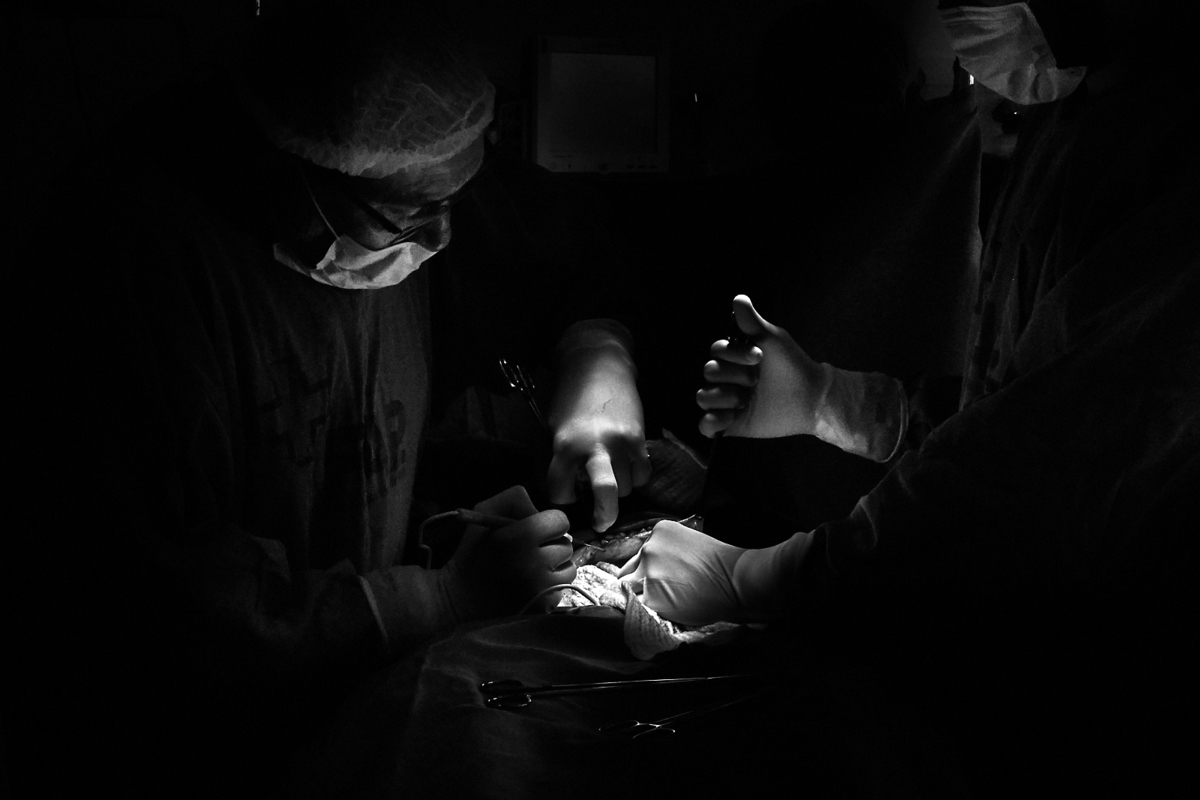 registro do parto de Mariana, filha de Larissa e Juninho