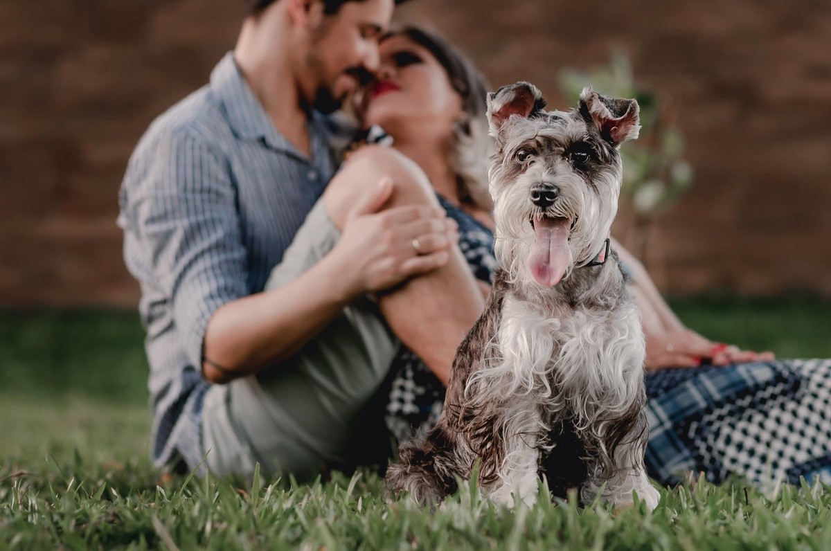 workshop upgrade, fotografia verdadeira, jocieldes alves, mucio albuquerque, 4maos fotografias, 4Mãos fotografias, 4 Mãos Fotografias