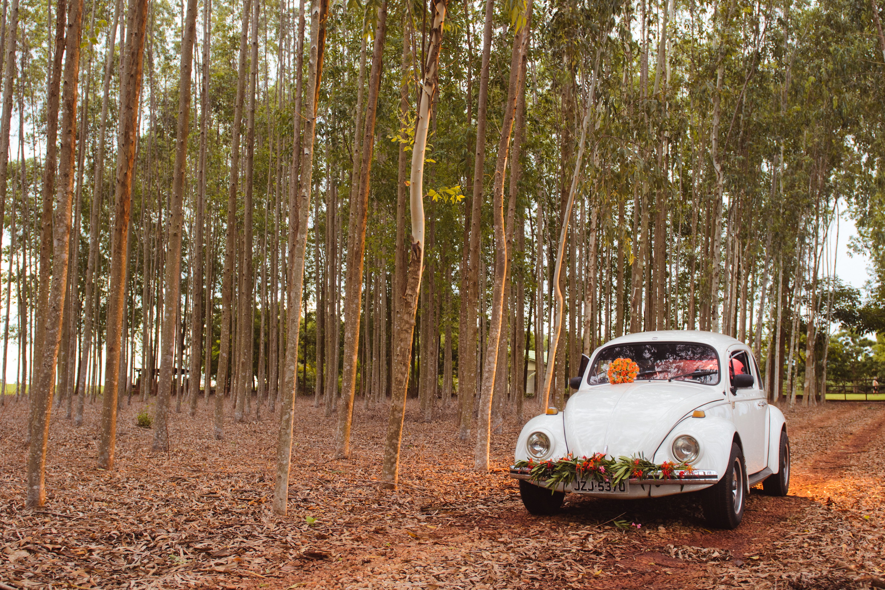 Sobre Pinheiro Fotografia
