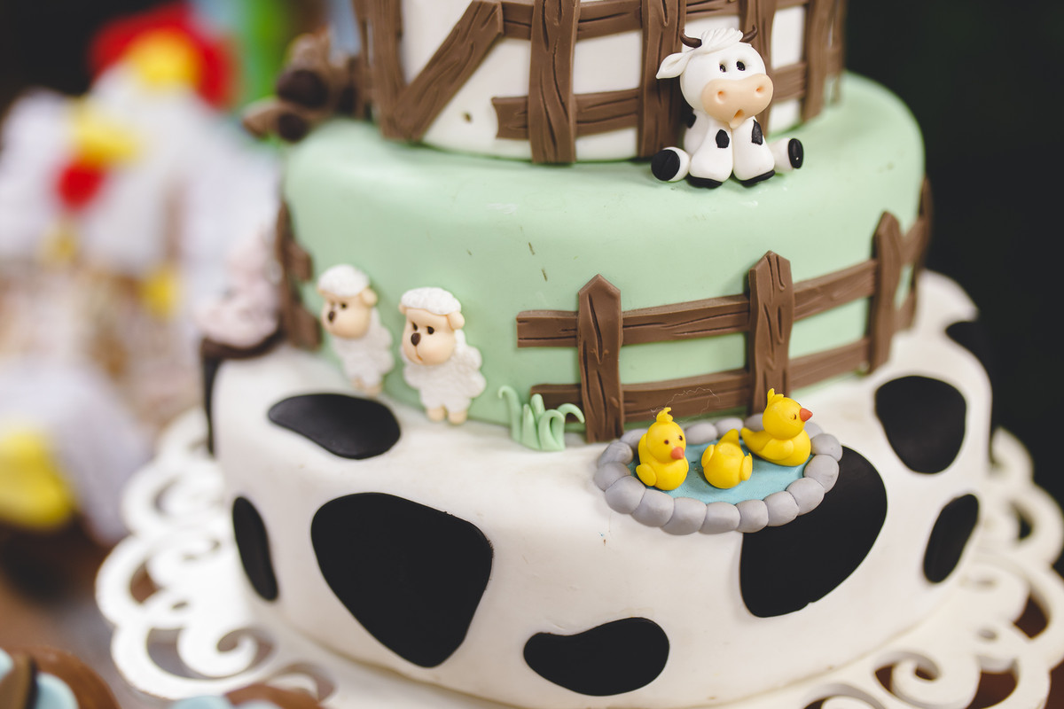 Benjamin 1 ano – Festinha Infantil