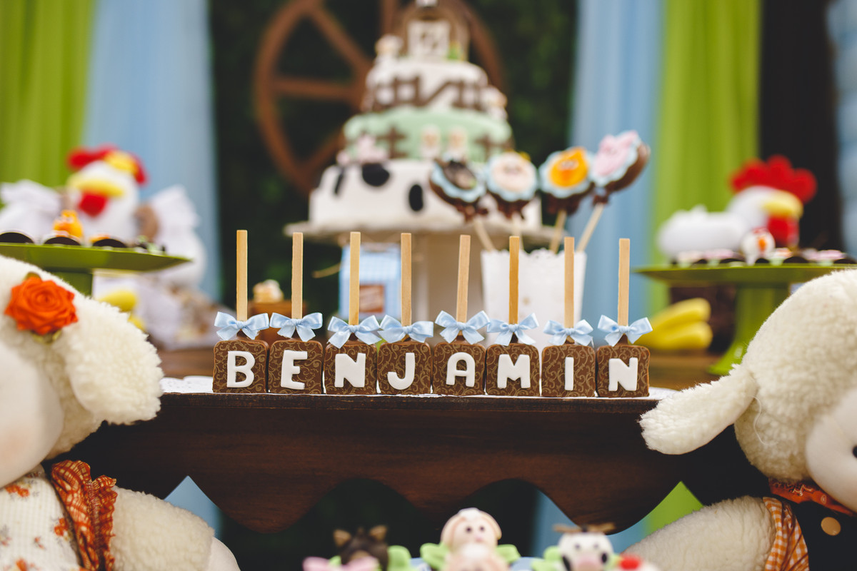 Benjamin 1 ano – Festinha Infantil