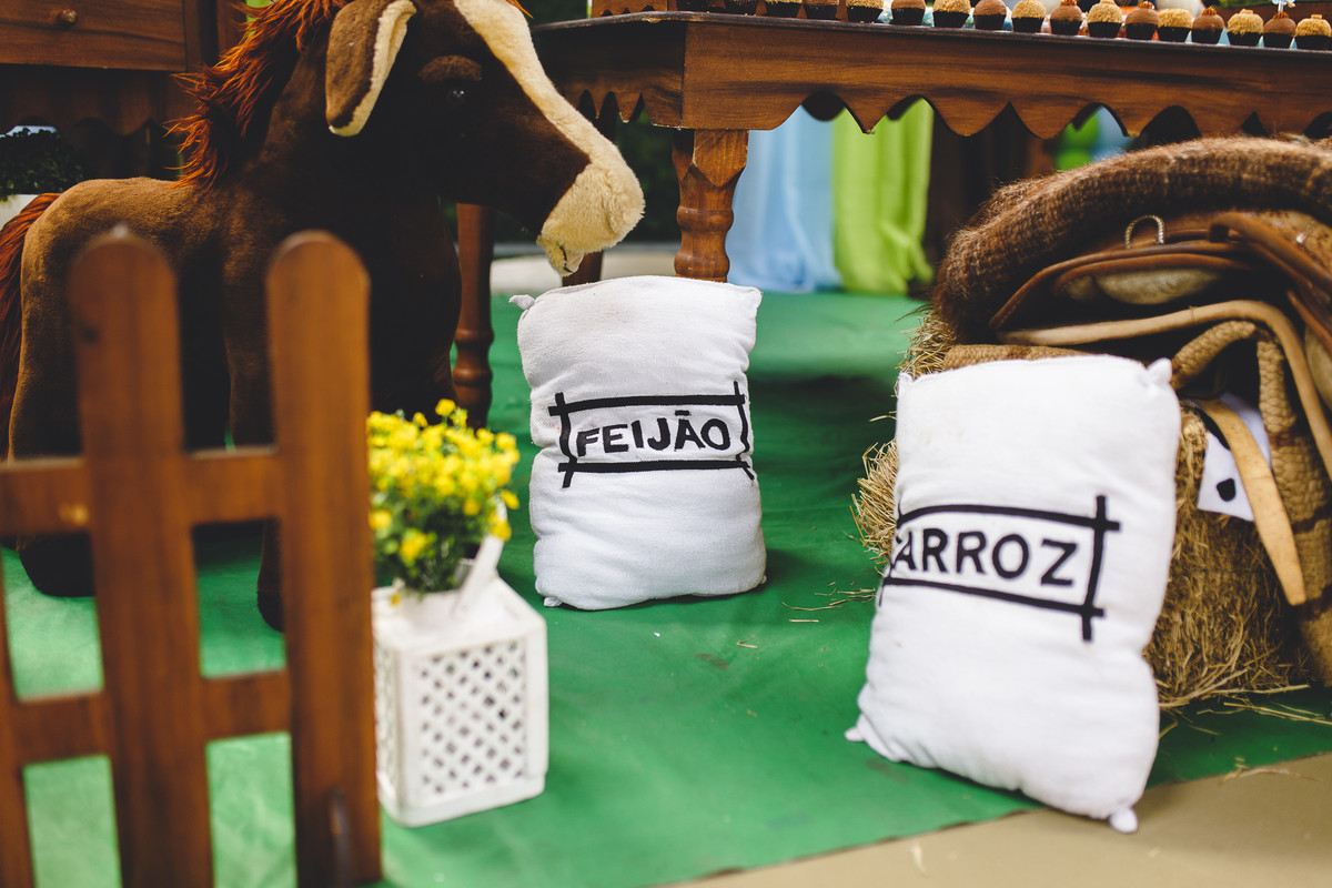 Benjamin 1 ano – Festinha Infantil