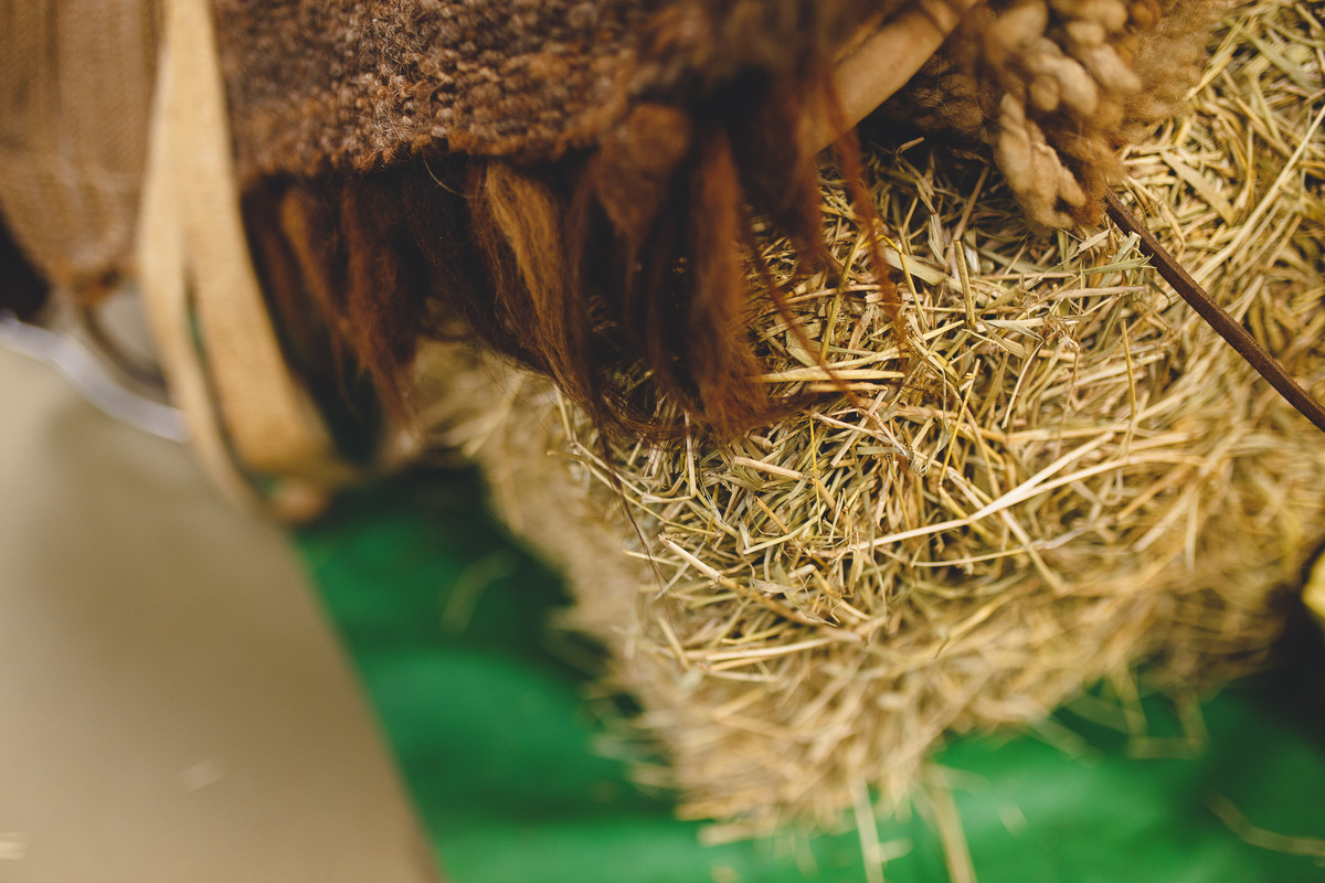 Benjamin 1 ano – Festinha Infantil