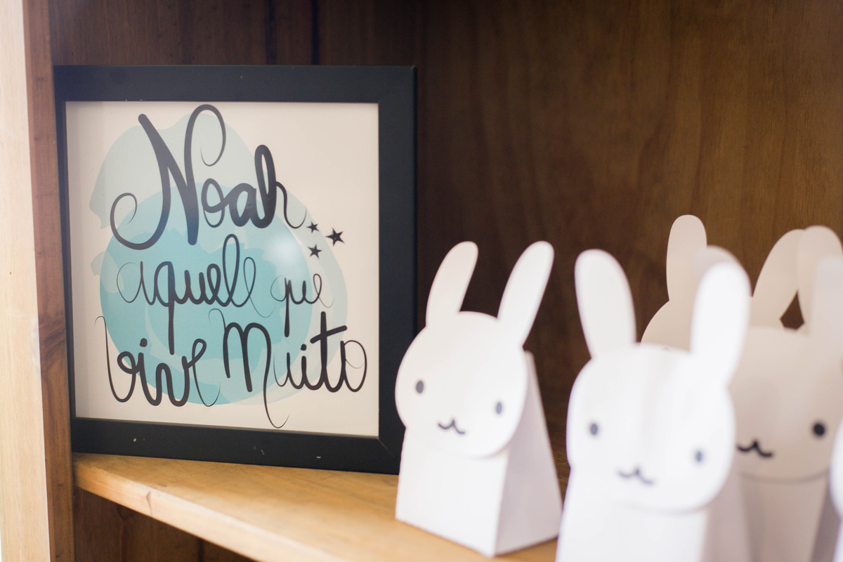 Noah 1 ano – Festa Infantil