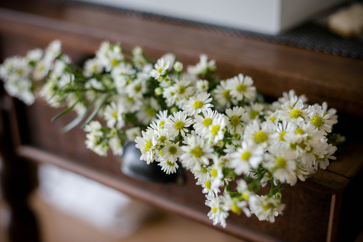 Noah 1 ano – Festa Infantil