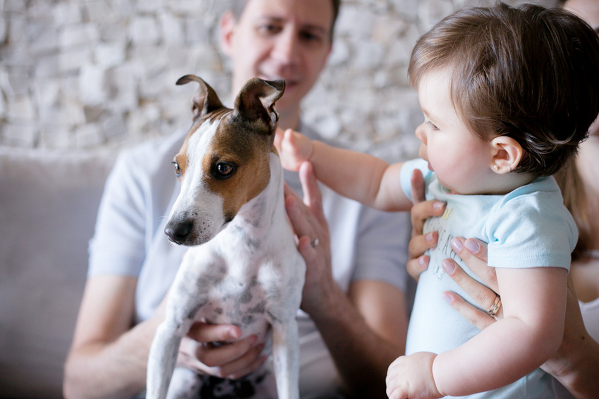 Bruna 8 meses – Ensaio em casa