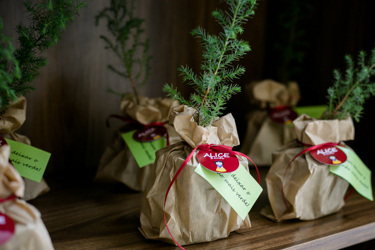 Alice 3 anos – Festa infantil