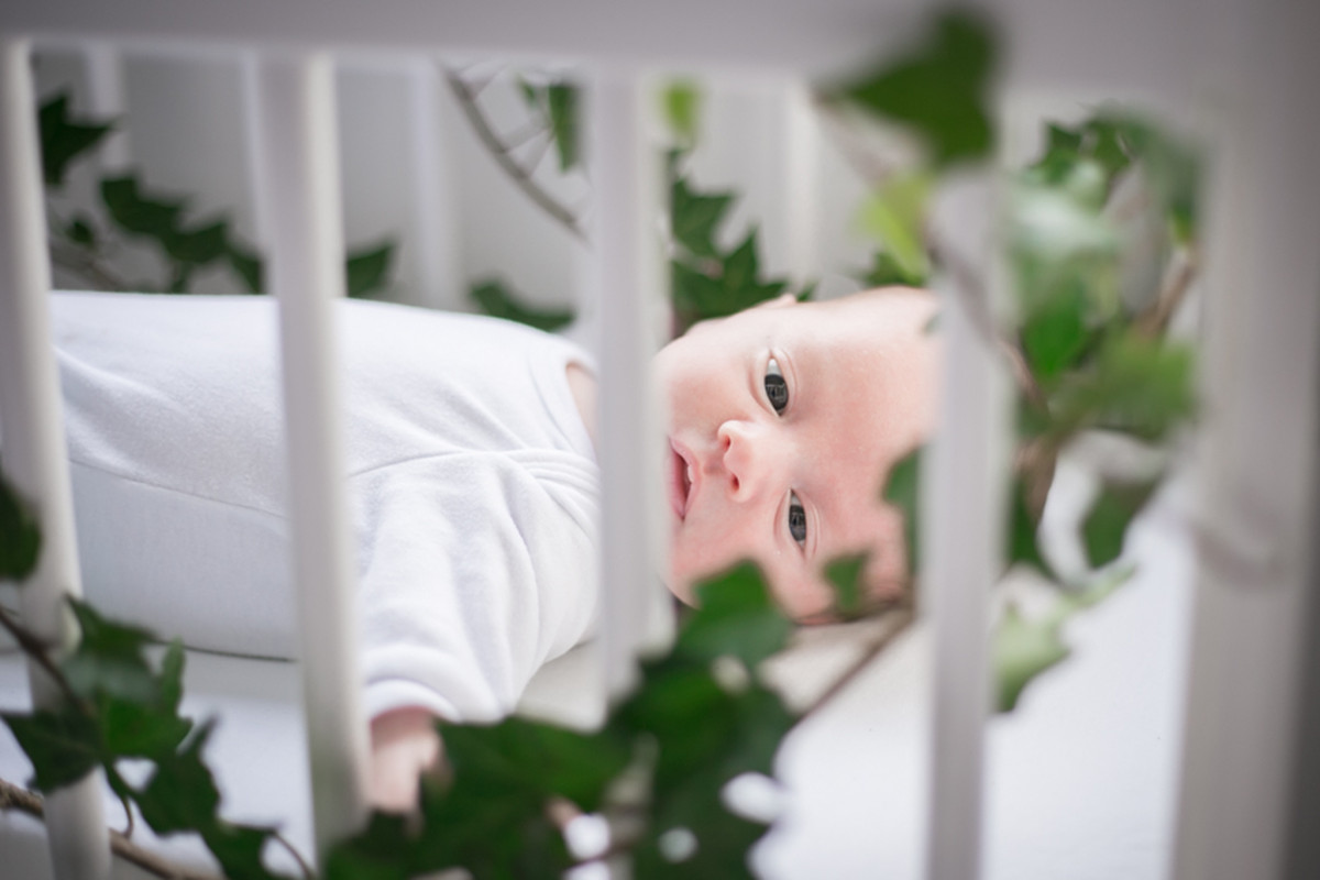 Valentino – Baby Bloom