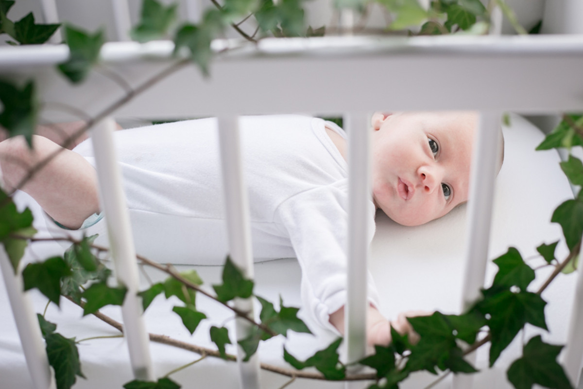 Valentino – Baby Bloom