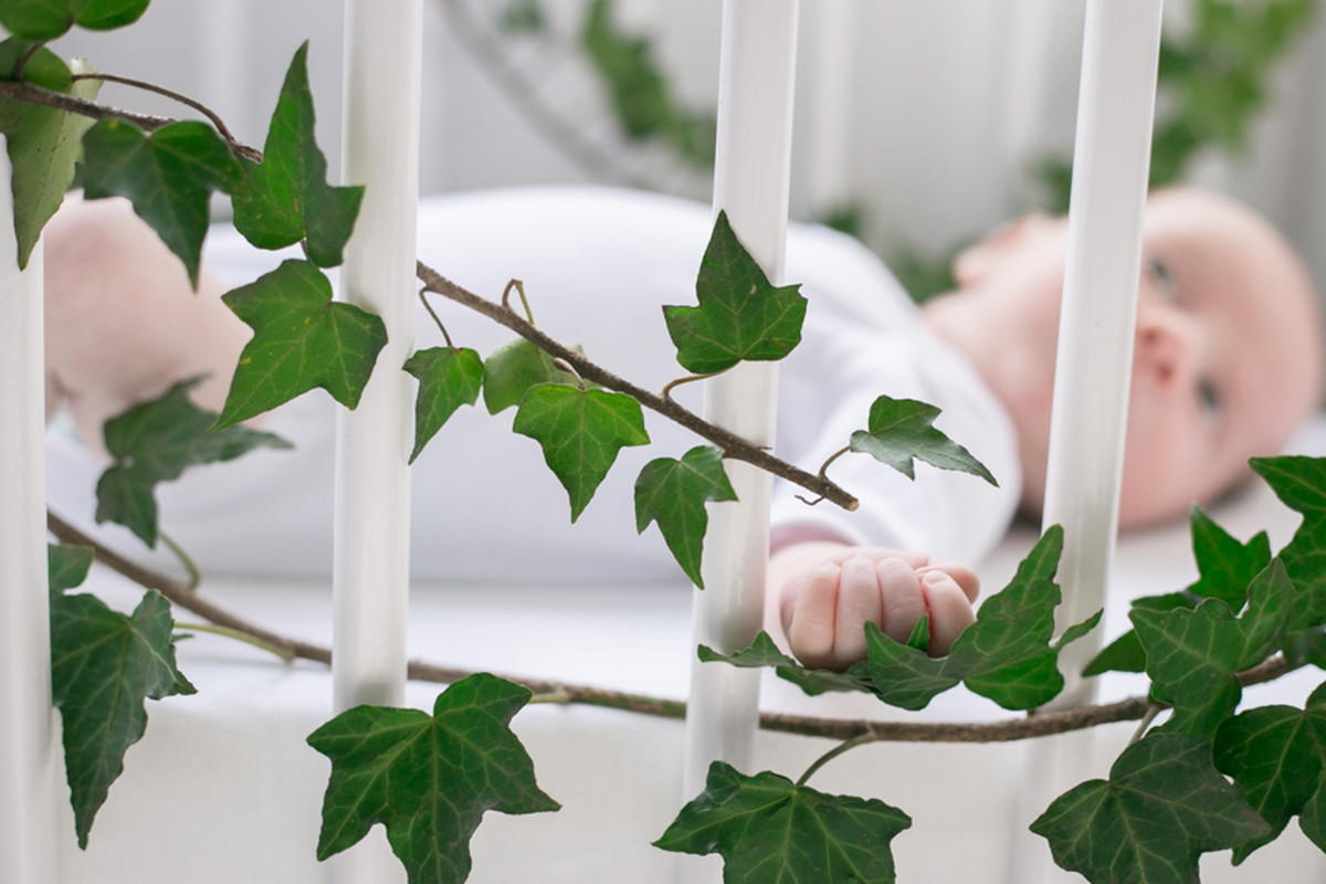 Valentino – Baby Bloom