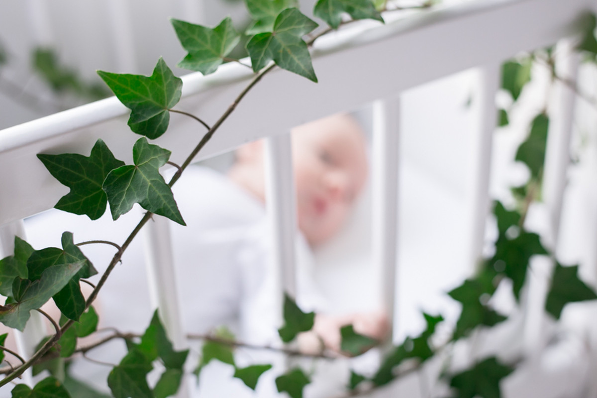 Valentino – Baby Bloom