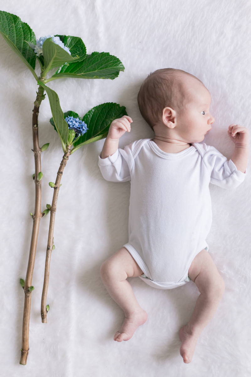 Valentino – Baby Bloom