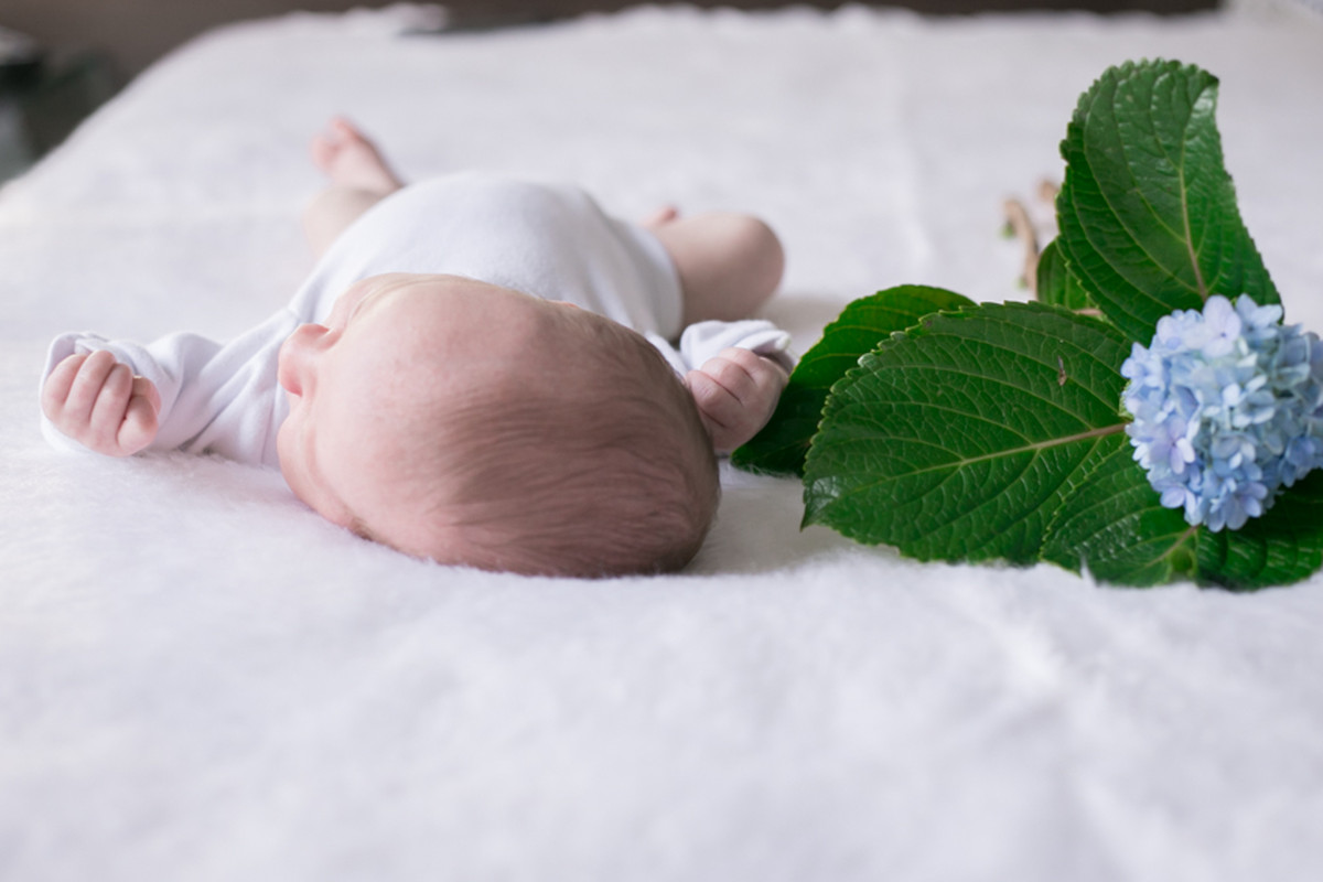 Valentino – Baby Bloom