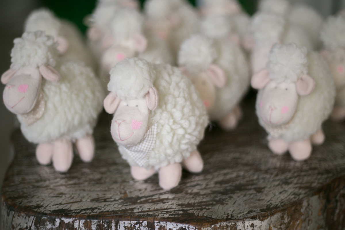 1 ano da ovelhinha Helena – Festa infantil