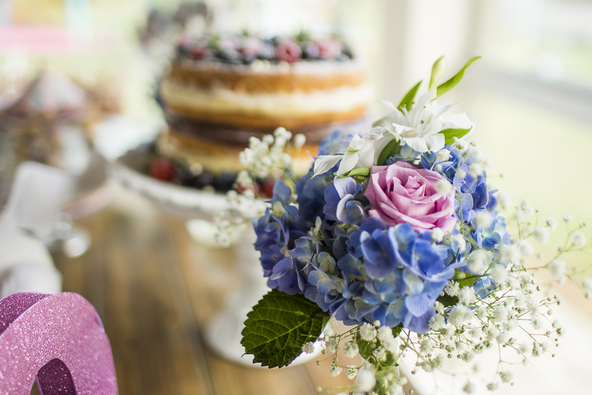 Emily 6 anos – Festa infantil