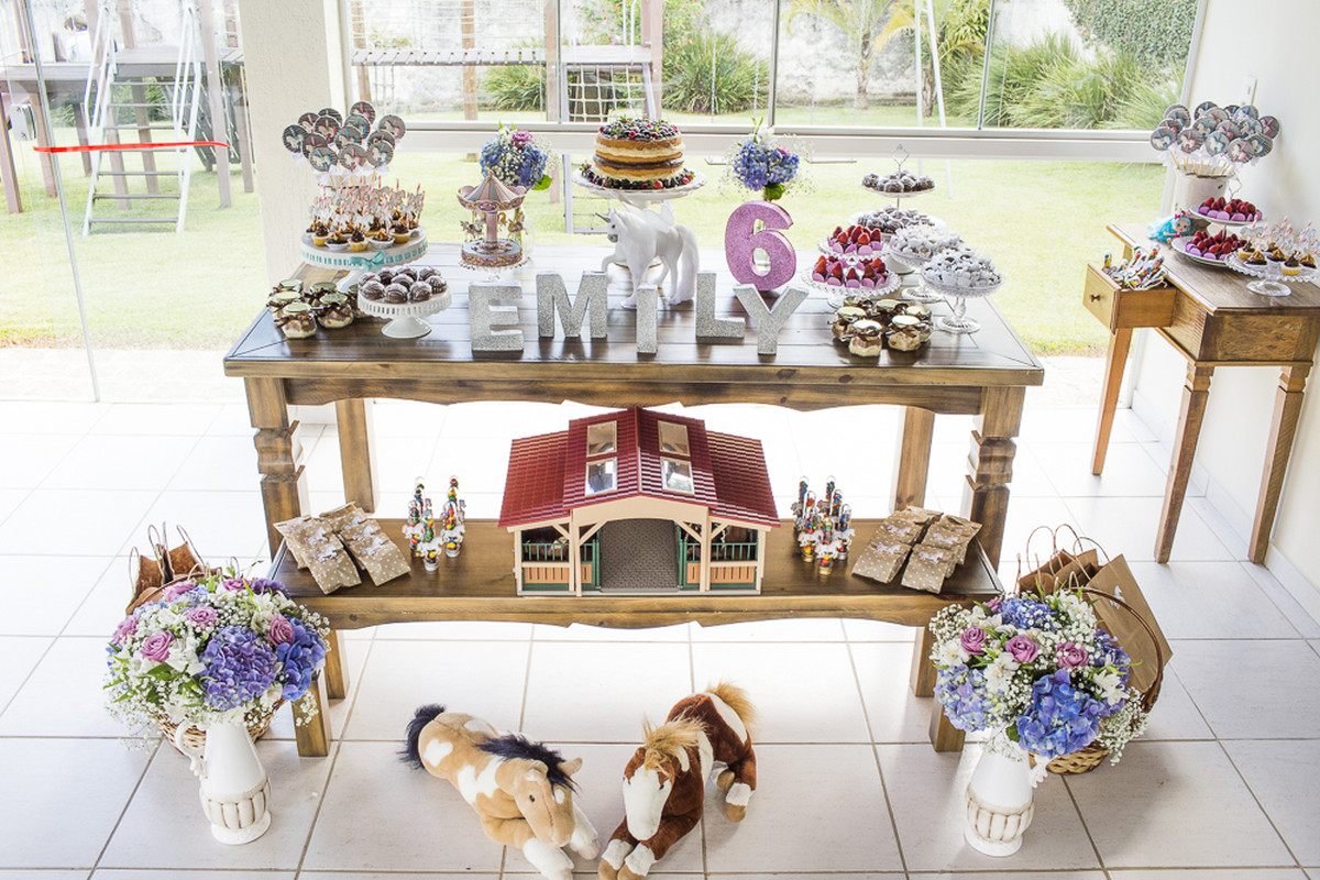 Emily 6 anos – Festa infantil