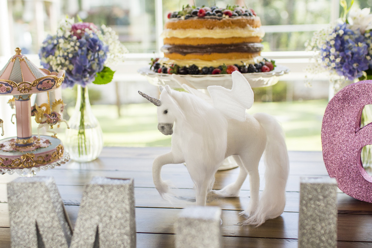 Emily 6 anos – Festa infantil