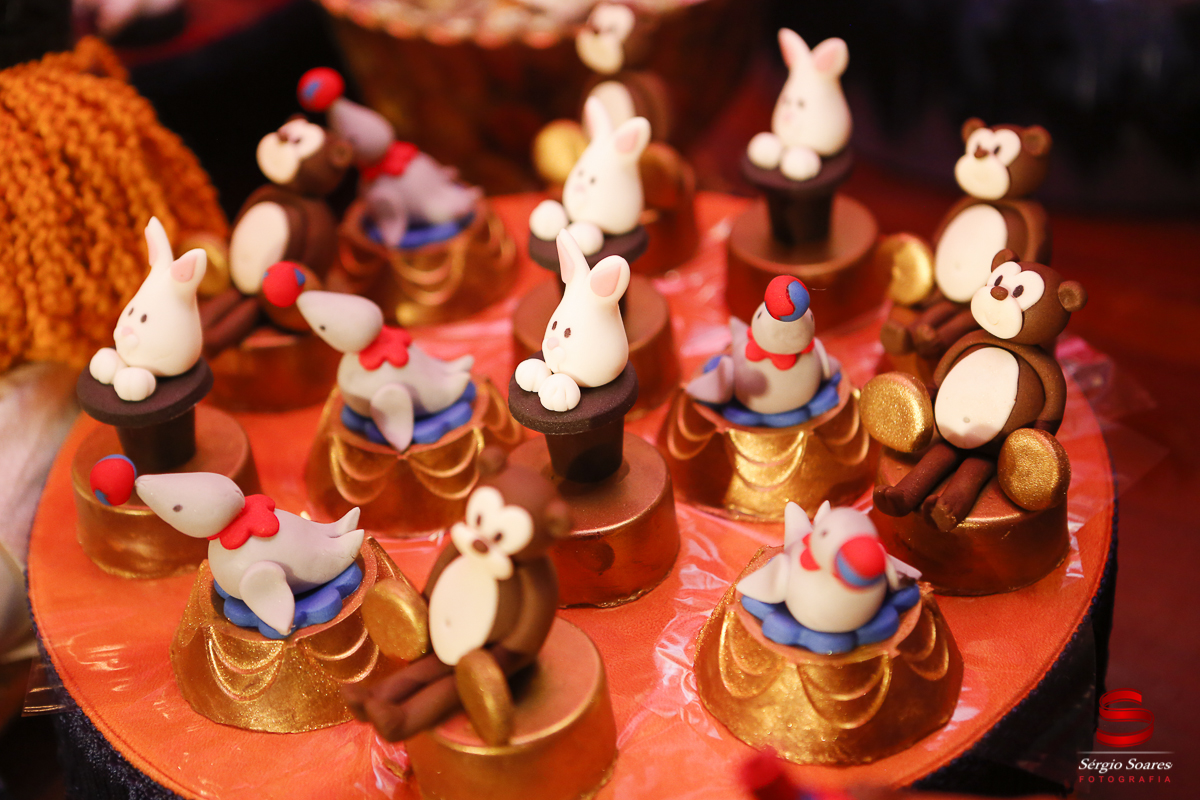 fotografia-fotografo-sergio-soares-cuiaba-mato-grosso-aniversario-samuel-miguel