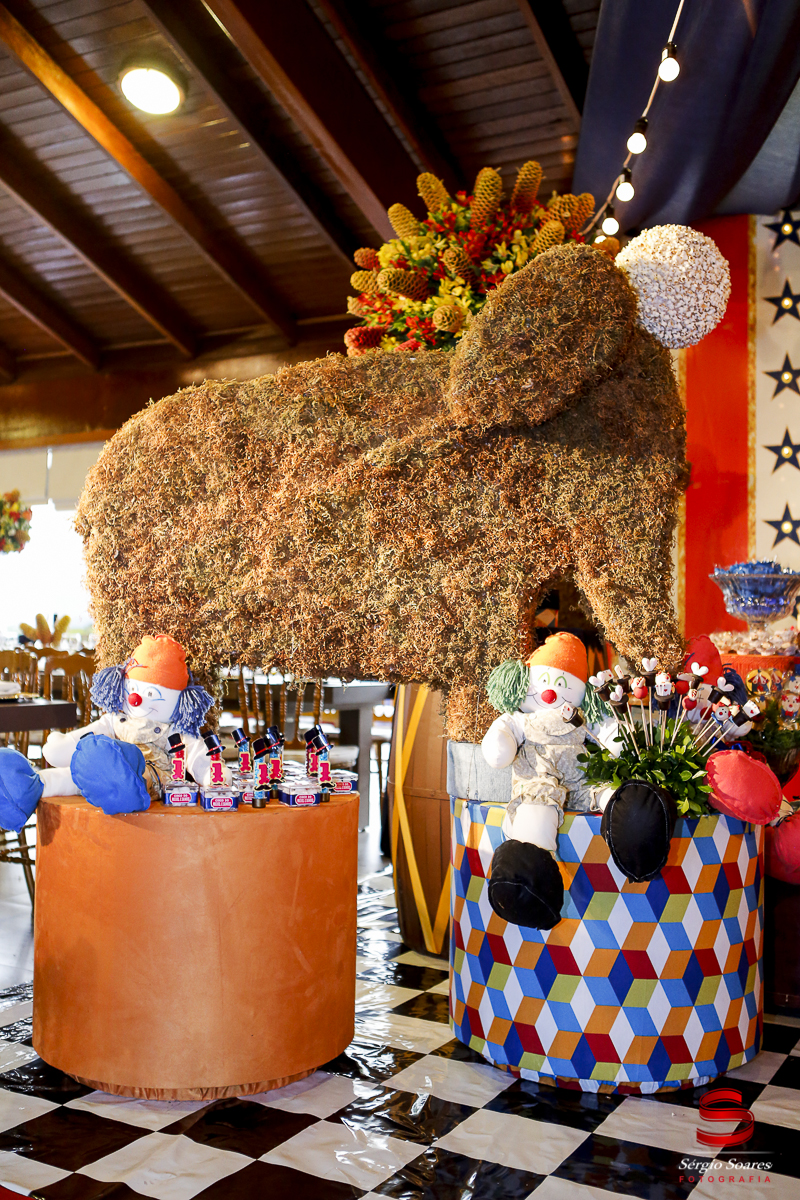 fotografia-fotografo-sergio-soares-cuiaba-mato-grosso-aniversario-samuel-miguel