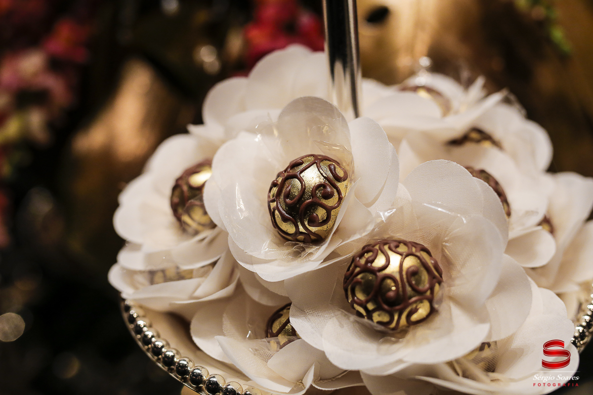 fotografia-fotografo-sergio-soares-cuiaba-mato-grosso-brasil-aniversario-50-anos-deise