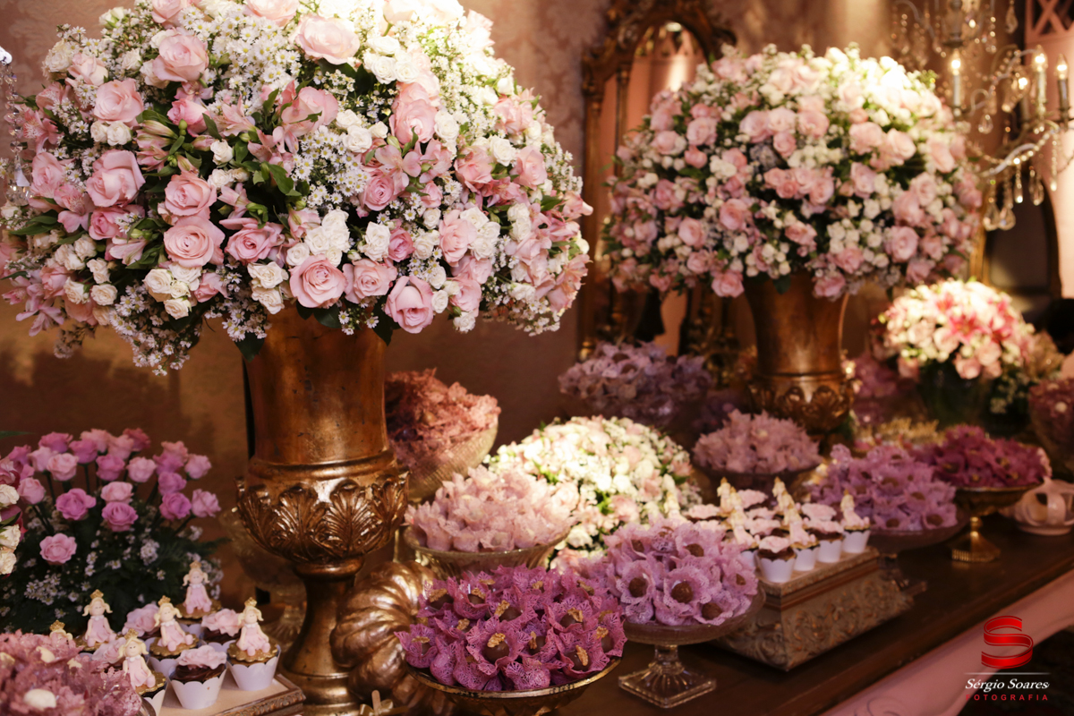 fotografia-fotografo-sergio-soares-cuiaba-mato-grosso-brasil-niver-maria-rita