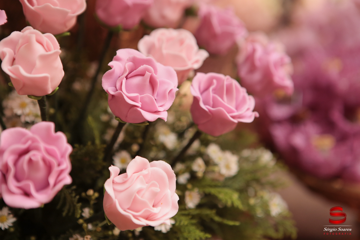 fotografia-fotografo-sergio-soares-cuiaba-mato-grosso-brasil-niver-maria-rita