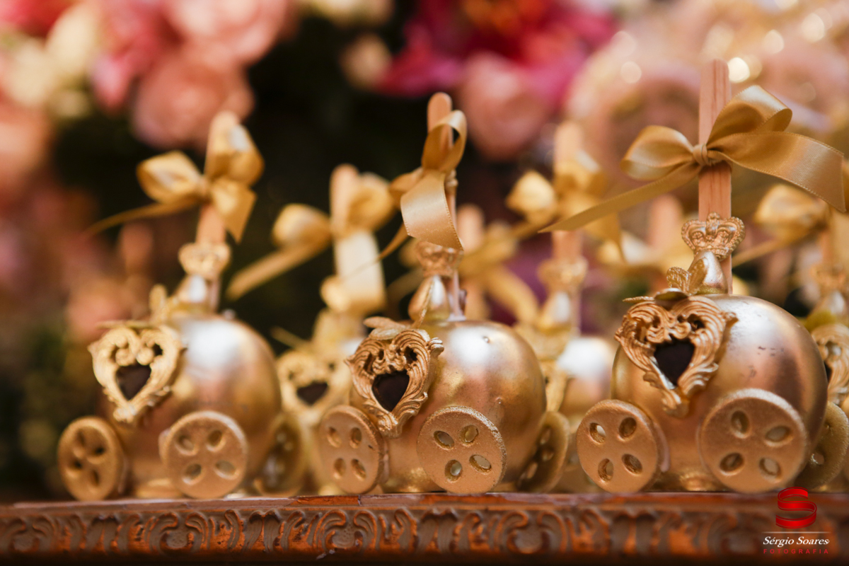 fotografia-fotografo-sergio-soares-cuiaba-mato-grosso-brasil-niver-maria-rita