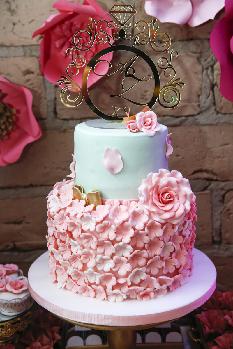 fotografia-fotografo-foto=cuiaba-sergio-soares-mato-grosso-aniversario-15-anos-alexia