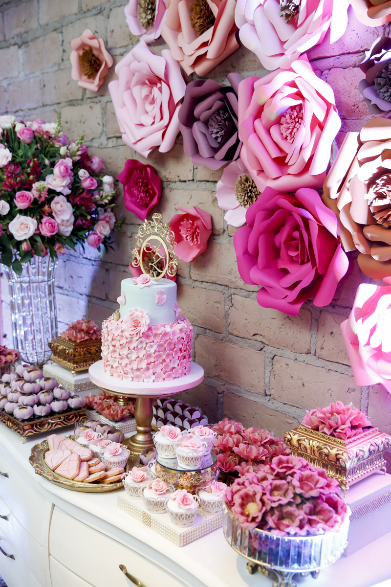 fotografia-fotografo-foto=cuiaba-sergio-soares-mato-grosso-aniversario-15-anos-alexia