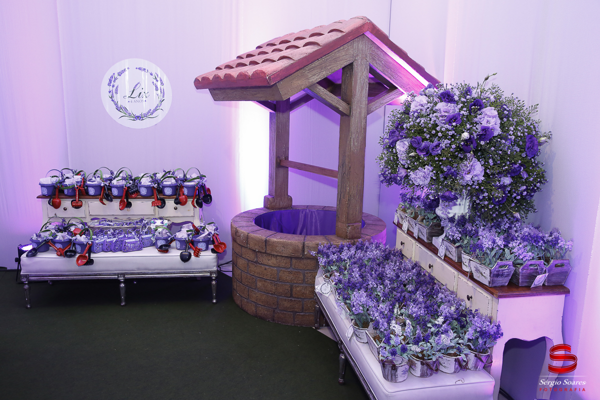 fotografia-fotografo-fotos-sergio-soares-fotografia-cuiaba-mt-brasil-aniversario-niver-liz