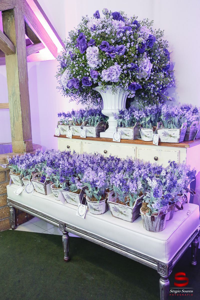 fotografia-fotografo-fotos-sergio-soares-fotografia-cuiaba-mt-brasil-aniversario-niver-liz