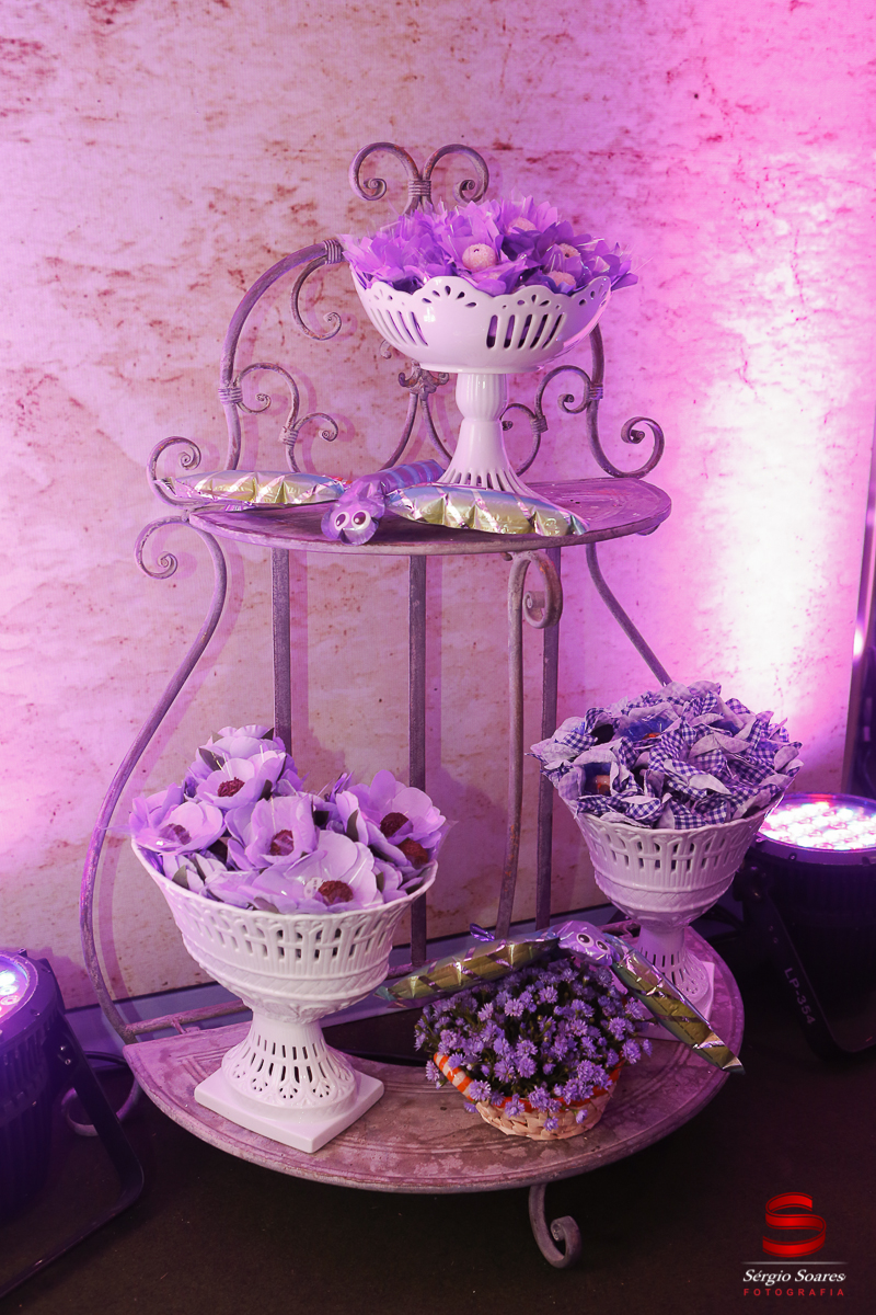 fotografia-fotografo-fotos-sergio-soares-fotografia-cuiaba-mt-brasil-aniversario-niver-liz