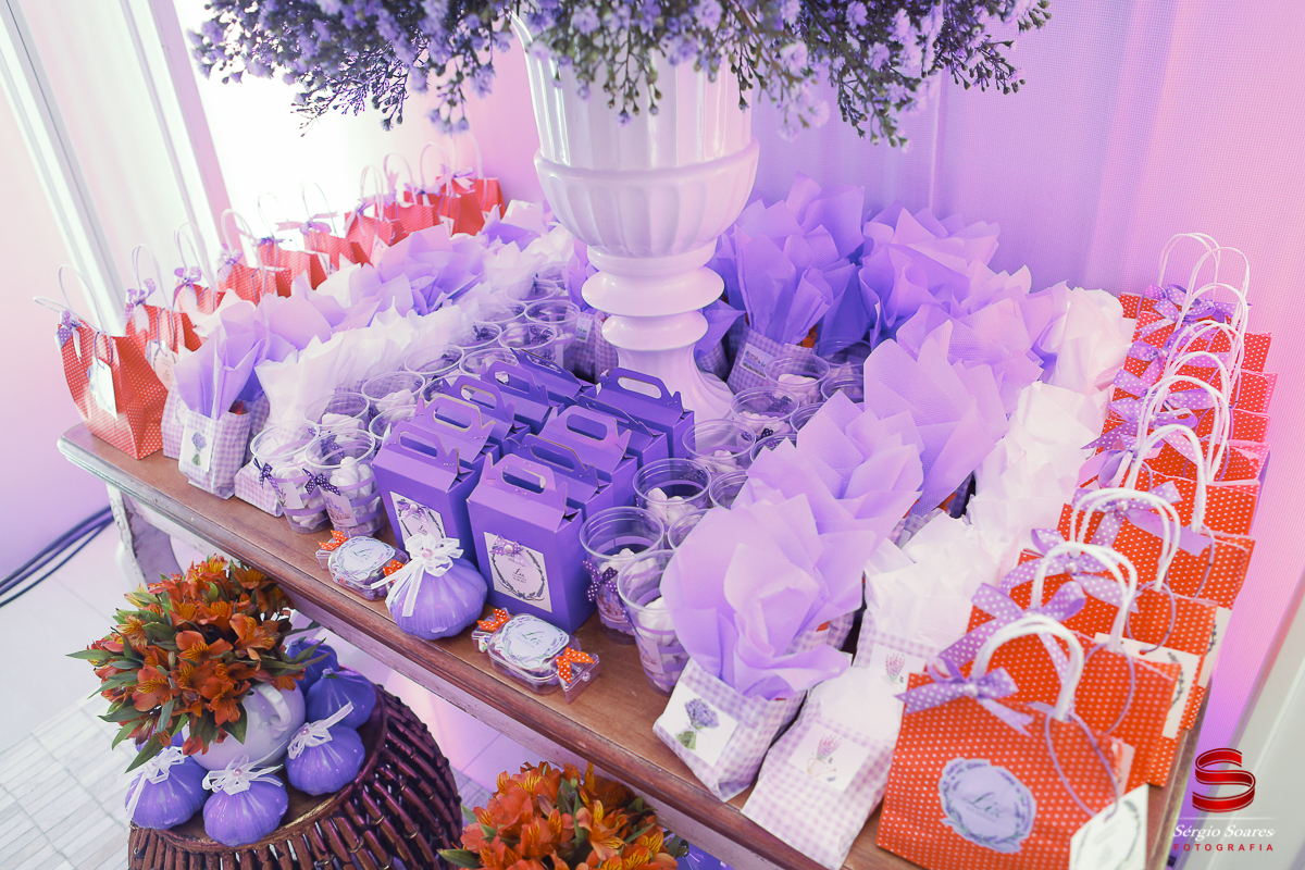 fotografia-fotografo-fotos-sergio-soares-fotografia-cuiaba-mt-brasil-aniversario-niver-liz