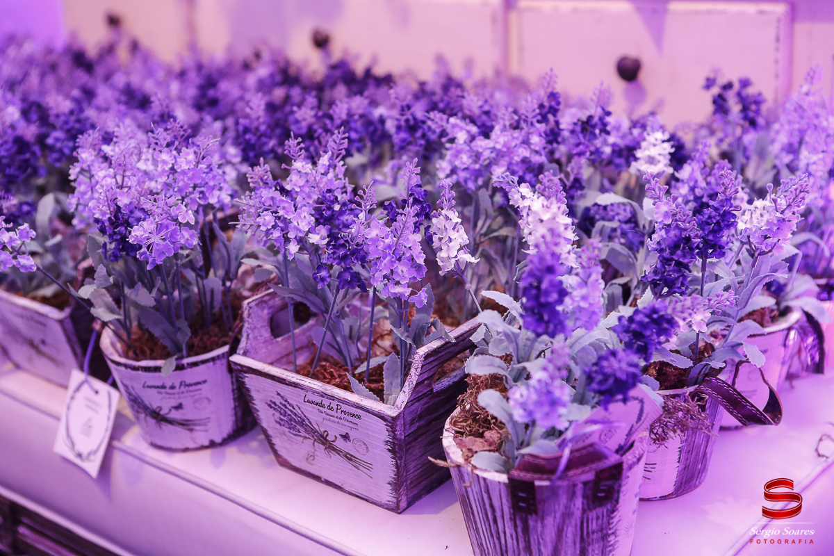 fotografia-fotografo-fotos-sergio-soares-fotografia-cuiaba-mt-brasil-aniversario-niver-liz