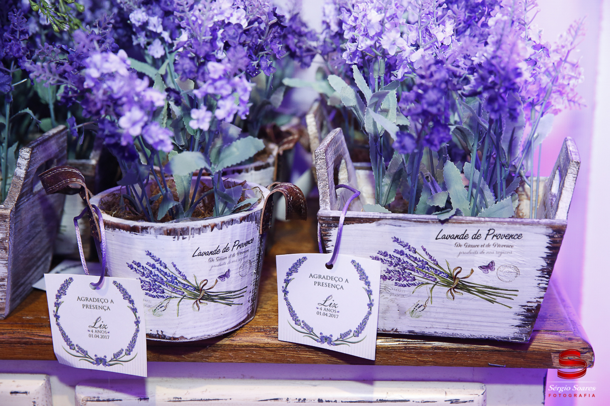 fotografia-fotografo-fotos-sergio-soares-fotografia-cuiaba-mt-brasil-aniversario-niver-liz