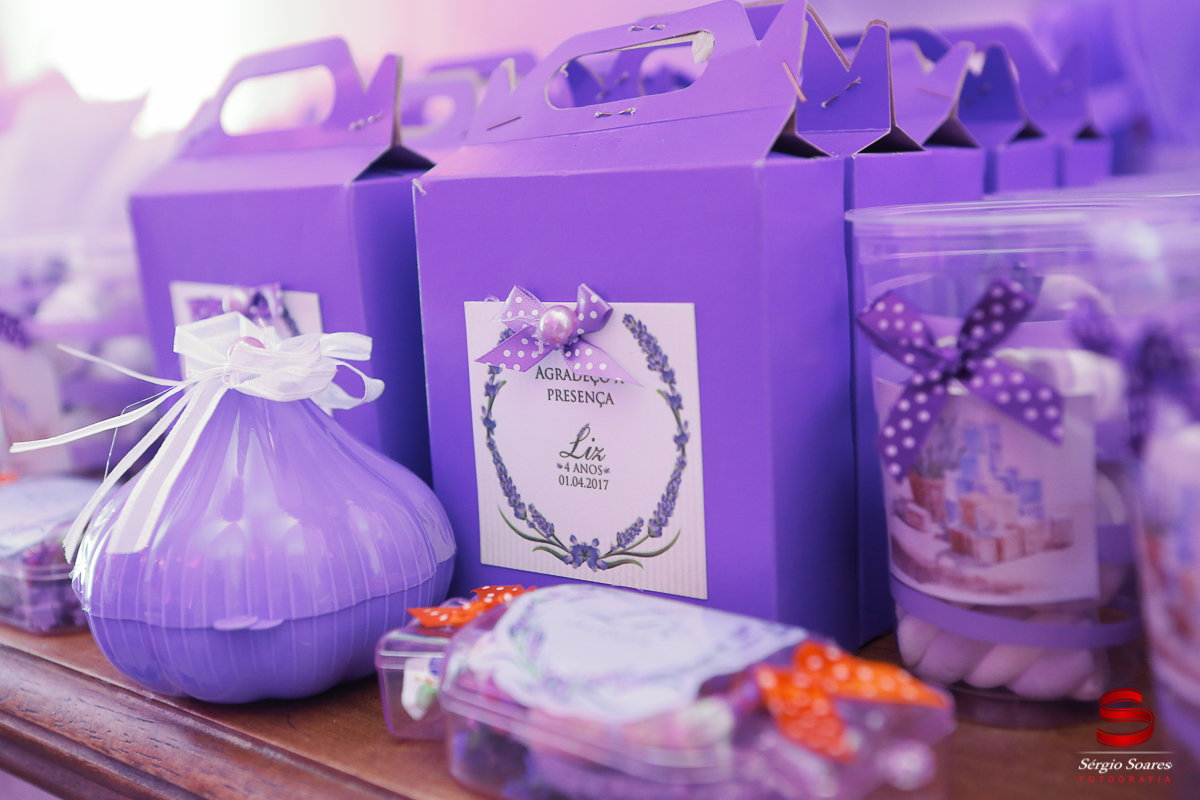 fotografia-fotografo-fotos-sergio-soares-fotografia-cuiaba-mt-brasil-aniversario-niver-liz