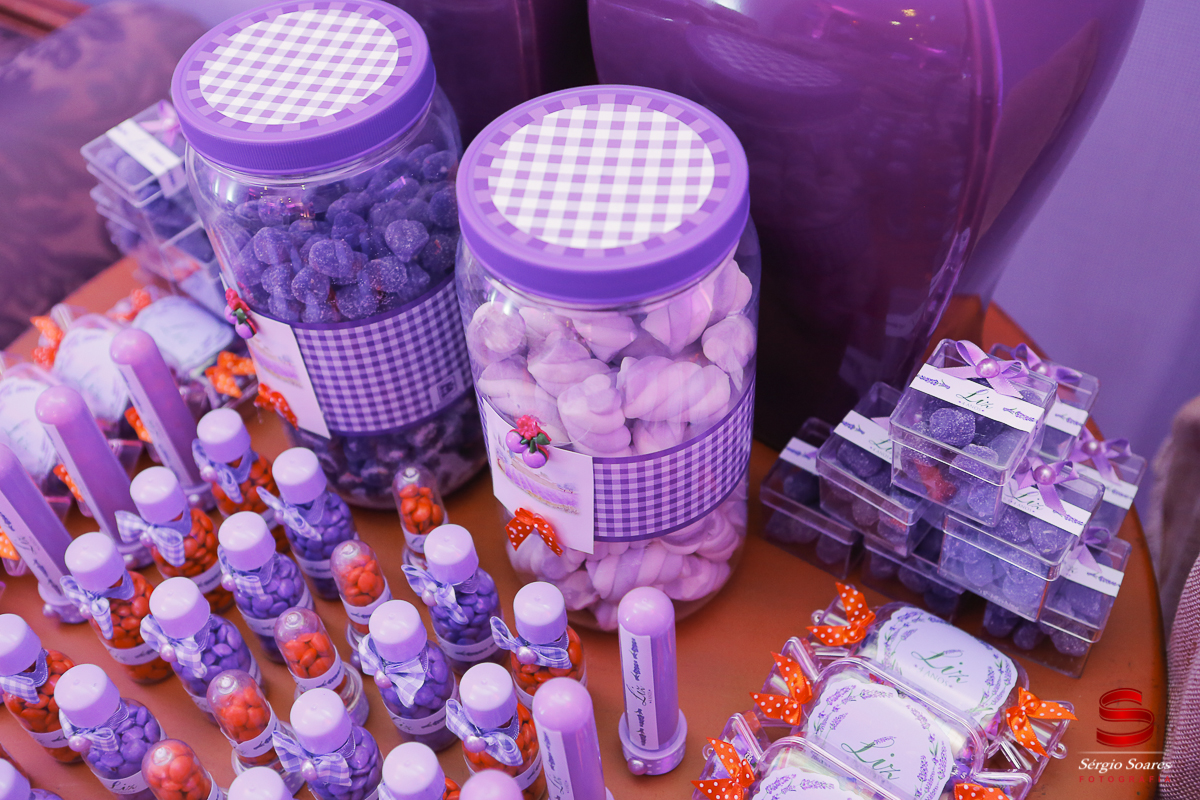 fotografia-fotografo-fotos-sergio-soares-fotografia-cuiaba-mt-brasil-aniversario-niver-liz