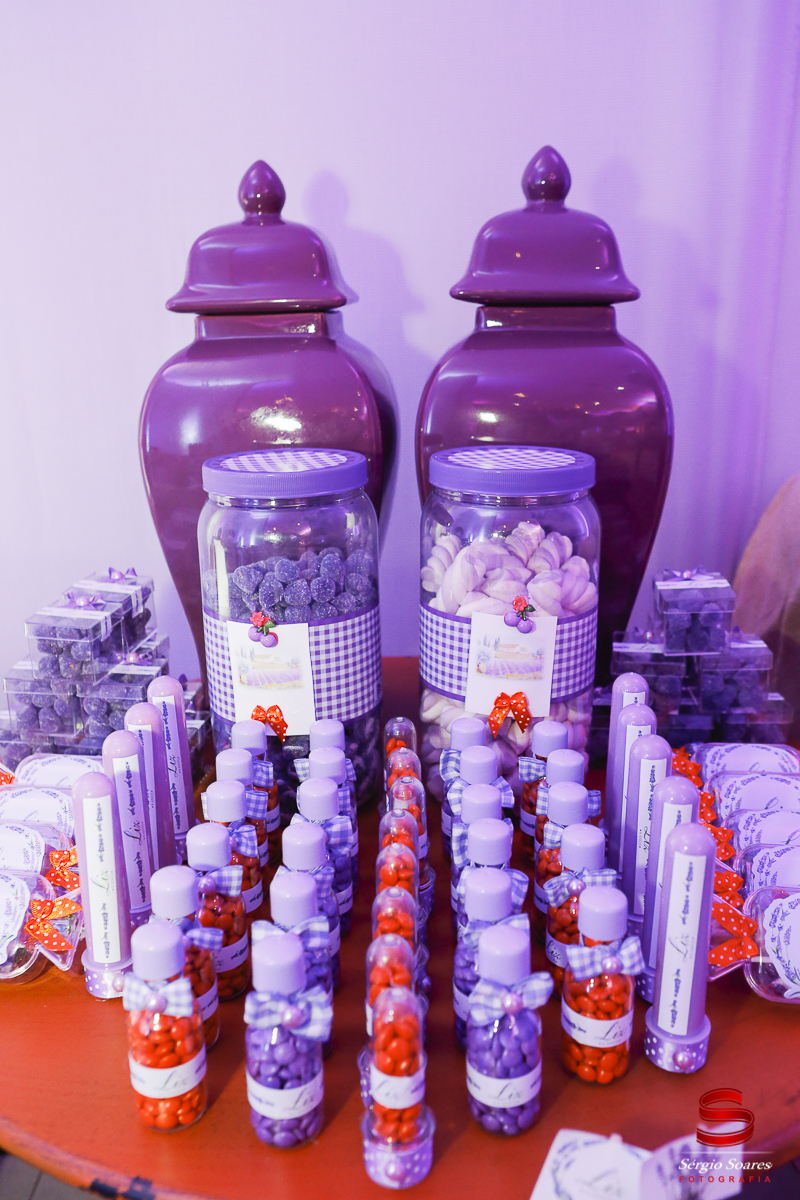 fotografia-fotografo-fotos-sergio-soares-fotografia-cuiaba-mt-brasil-aniversario-niver-liz