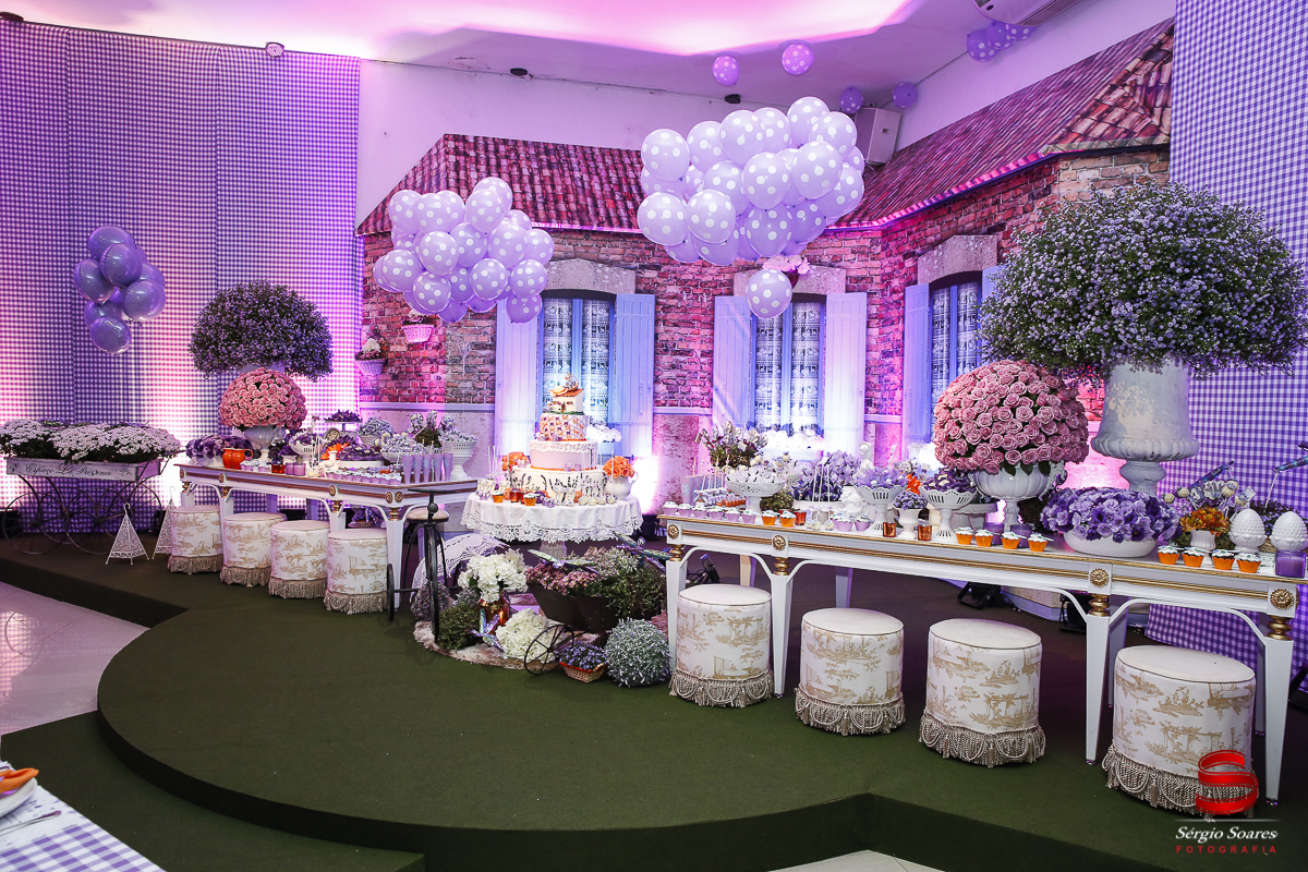 fotografia-fotografo-fotos-sergio-soares-fotografia-cuiaba-mt-brasil-aniversario-niver-liz