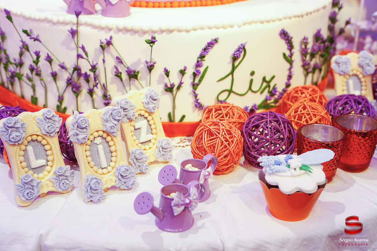 fotografia-fotografo-fotos-sergio-soares-fotografia-cuiaba-mt-brasil-aniversario-niver-liz