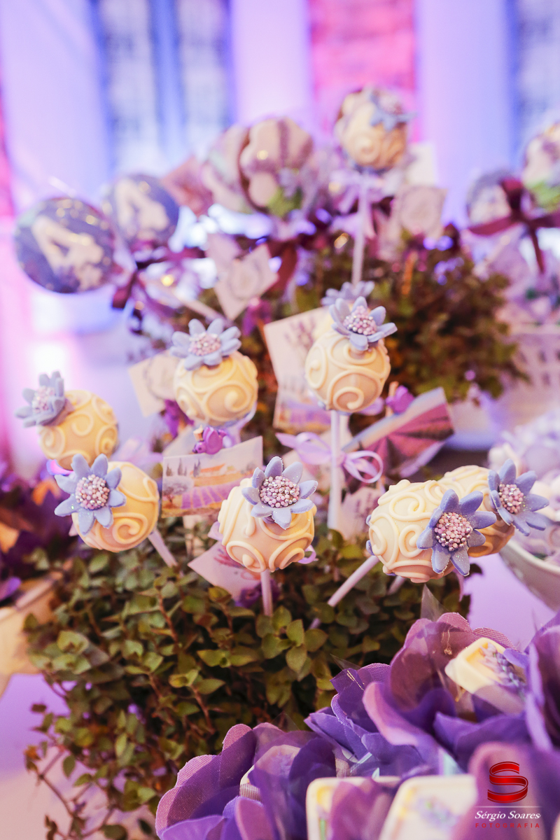 fotografia-fotografo-fotos-sergio-soares-fotografia-cuiaba-mt-brasil-aniversario-niver-liz