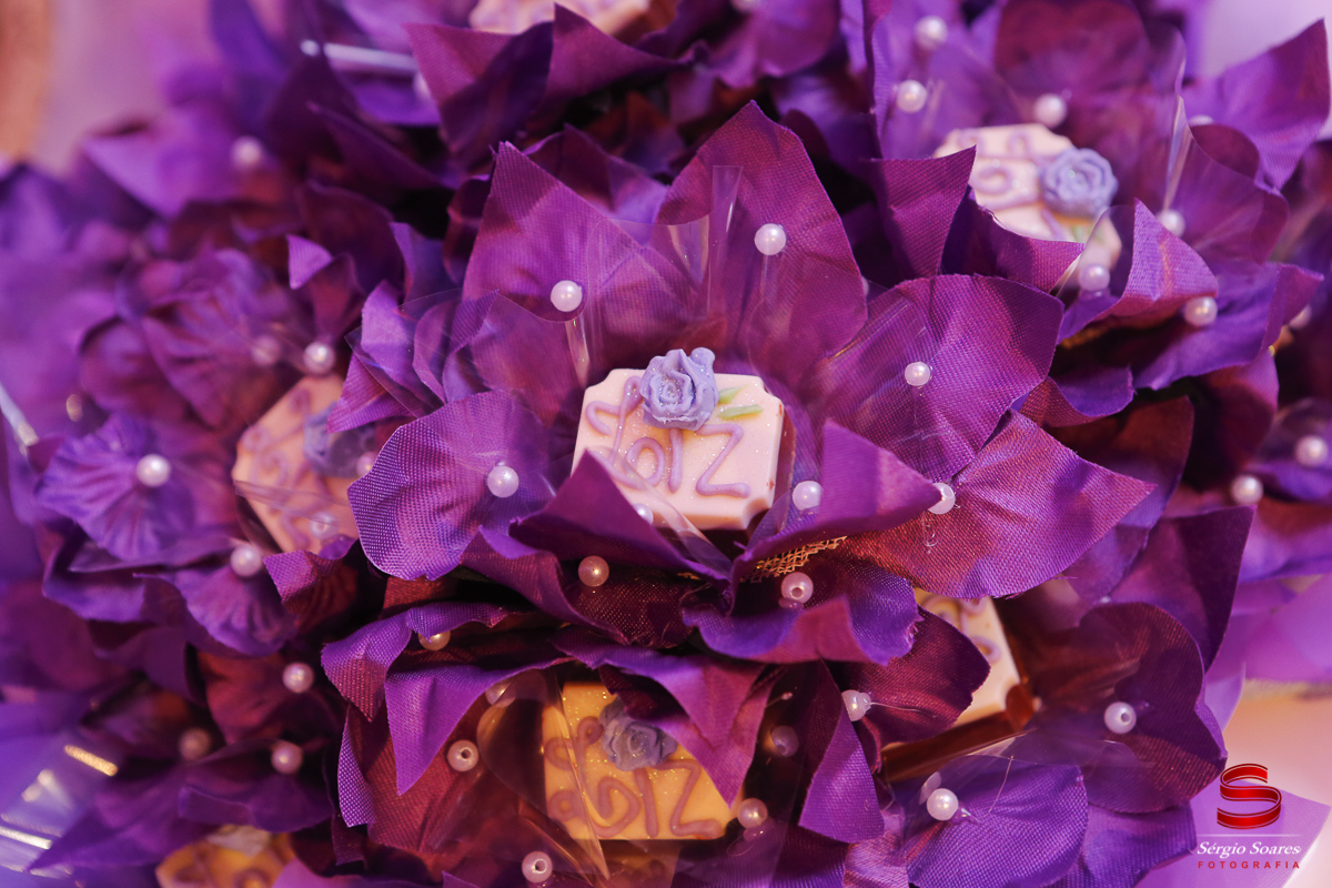 fotografia-fotografo-fotos-sergio-soares-fotografia-cuiaba-mt-brasil-aniversario-niver-liz