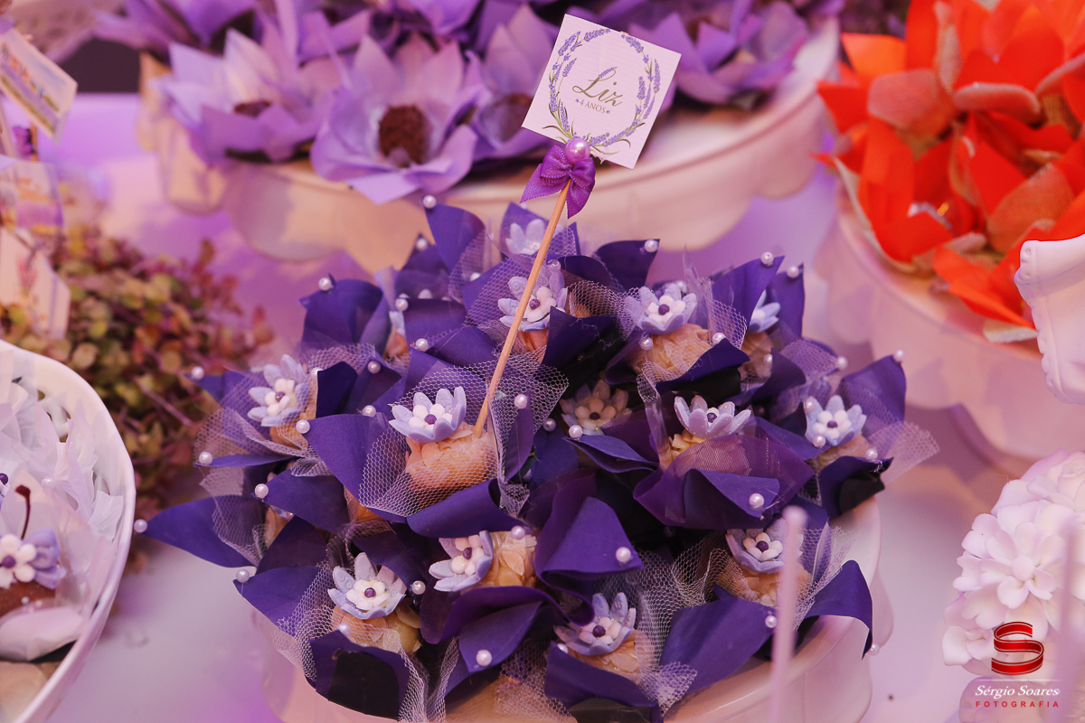 fotografia-fotografo-fotos-sergio-soares-fotografia-cuiaba-mt-brasil-aniversario-niver-liz