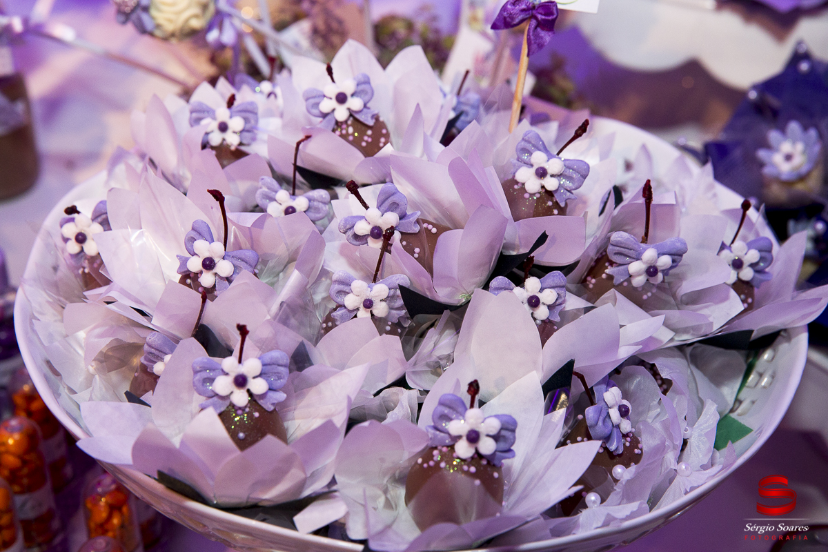 fotografia-fotografo-fotos-sergio-soares-fotografia-cuiaba-mt-brasil-aniversario-niver-liz