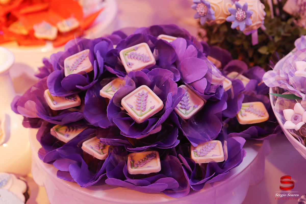 fotografia-fotografo-fotos-sergio-soares-fotografia-cuiaba-mt-brasil-aniversario-niver-liz