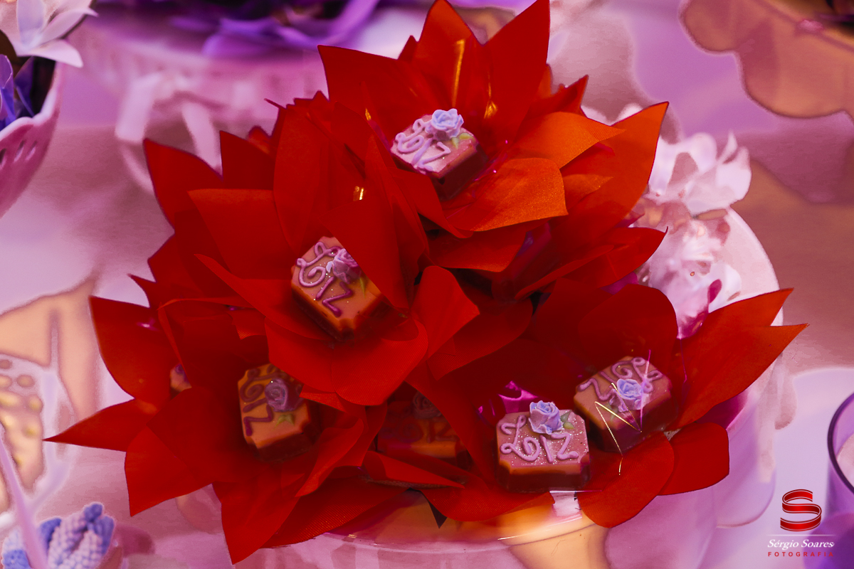 fotografia-fotografo-fotos-sergio-soares-fotografia-cuiaba-mt-brasil-aniversario-niver-liz