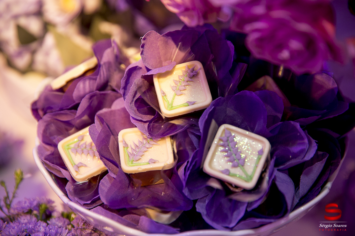 fotografia-fotografo-fotos-sergio-soares-fotografia-cuiaba-mt-brasil-aniversario-niver-liz