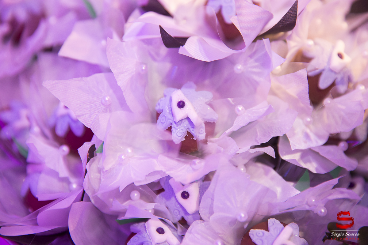 fotografia-fotografo-fotos-sergio-soares-fotografia-cuiaba-mt-brasil-aniversario-niver-liz