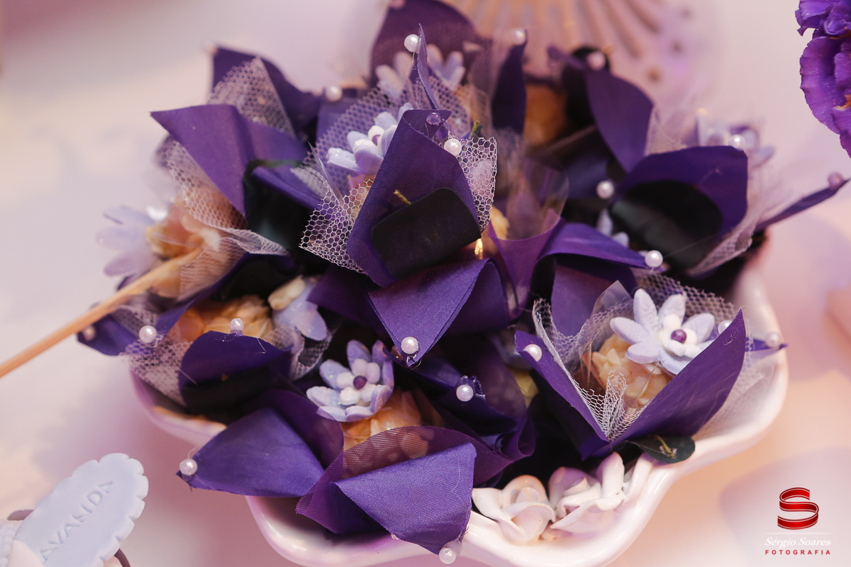 fotografia-fotografo-fotos-sergio-soares-fotografia-cuiaba-mt-brasil-aniversario-niver-liz