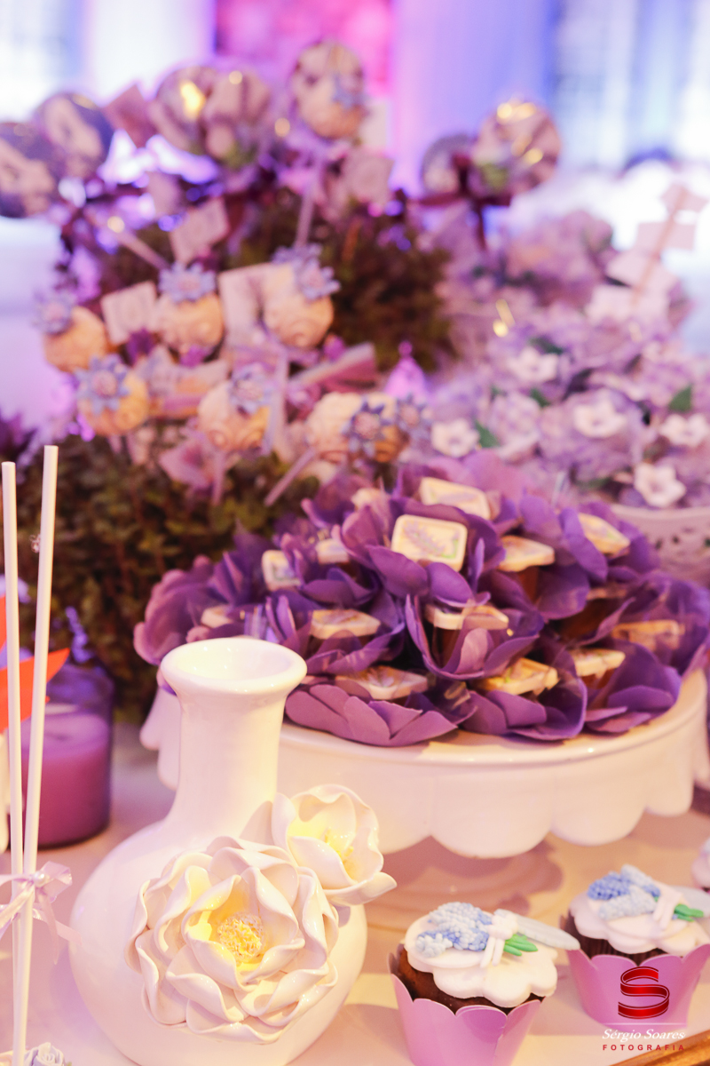 fotografia-fotografo-fotos-sergio-soares-fotografia-cuiaba-mt-brasil-aniversario-niver-liz